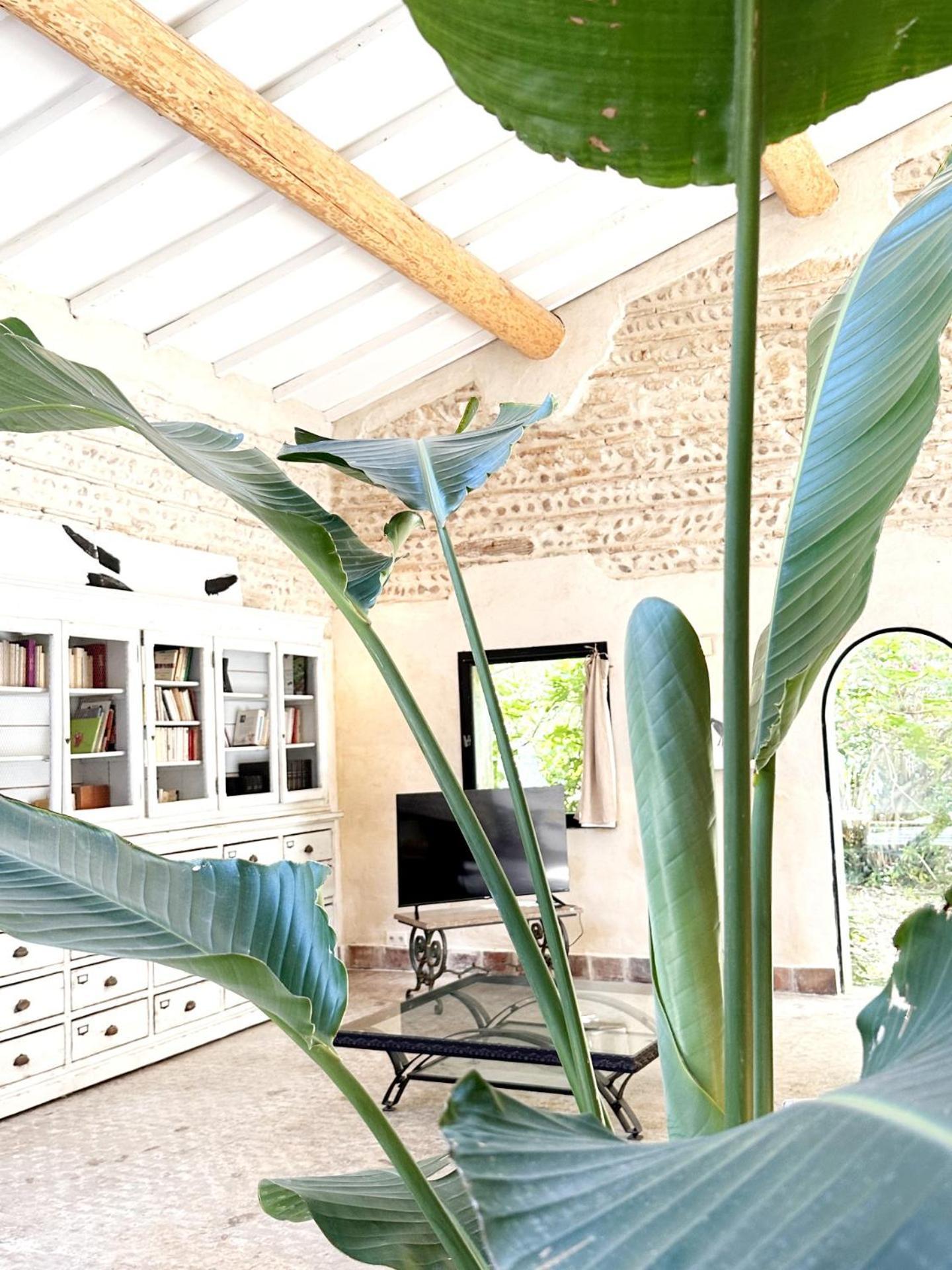 Magnifique Loft - Piscine - Tennis - Babyfoot Nîmes Esterno foto